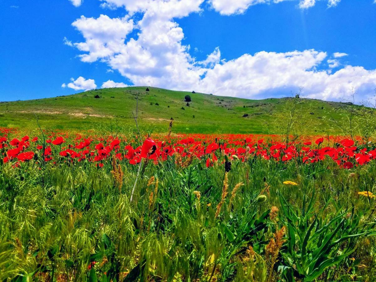 Karine B&B Yeghegnadzor Екстериор снимка